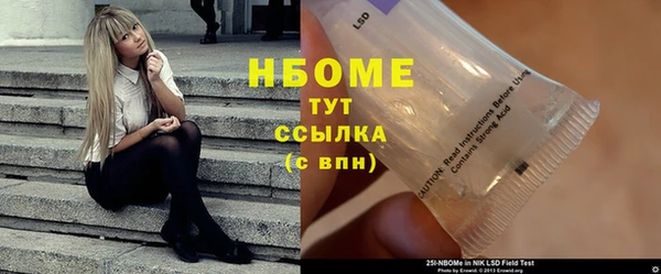 стаф Арсеньев