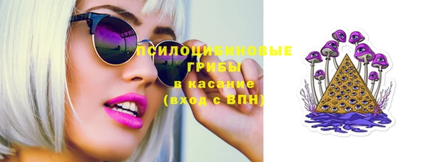 стаф Арсеньев